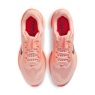 Pegasus Premium
